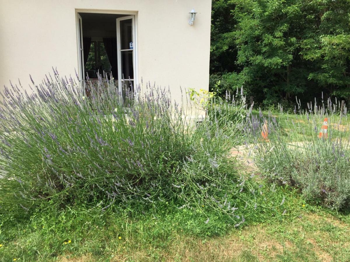 Le Clos Du Golf Dame-Marie-les-Bois Εξωτερικό φωτογραφία
